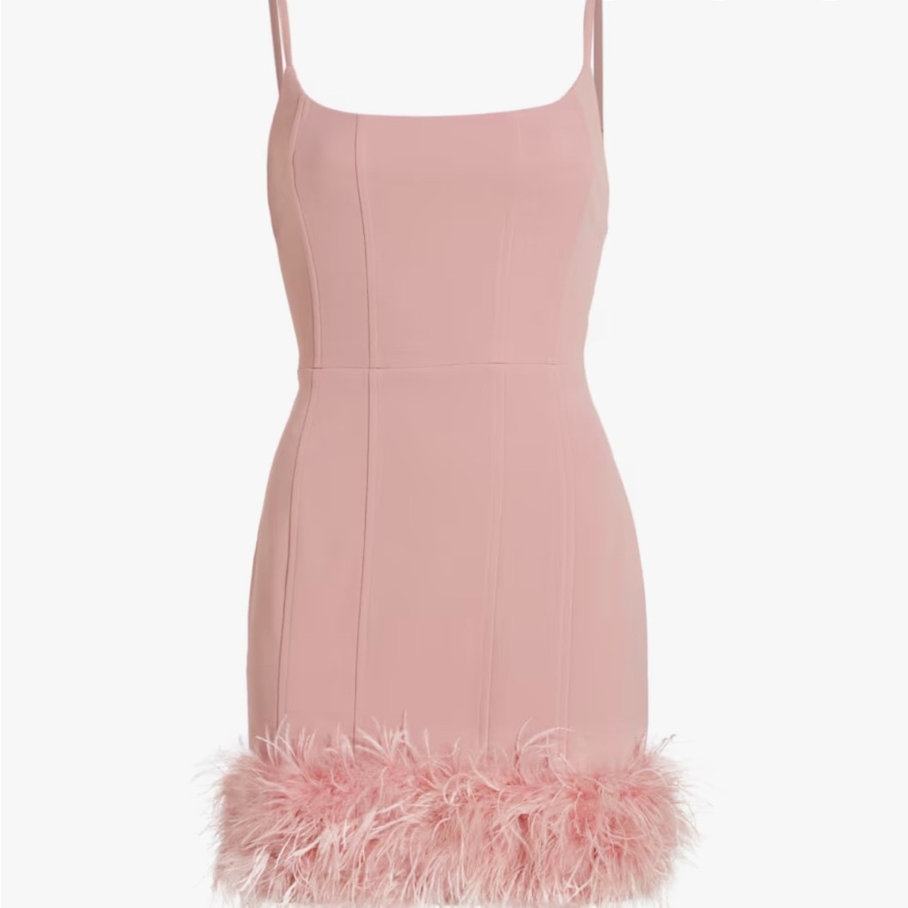 Line & Dot Pink Feather Trim Mini Dress